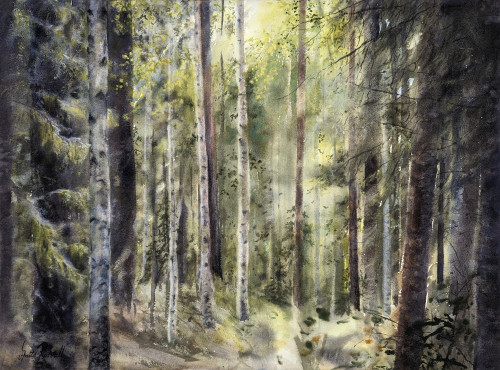 Solskenets lek bland skogens grönska - originalmålning av Anita Rosvall